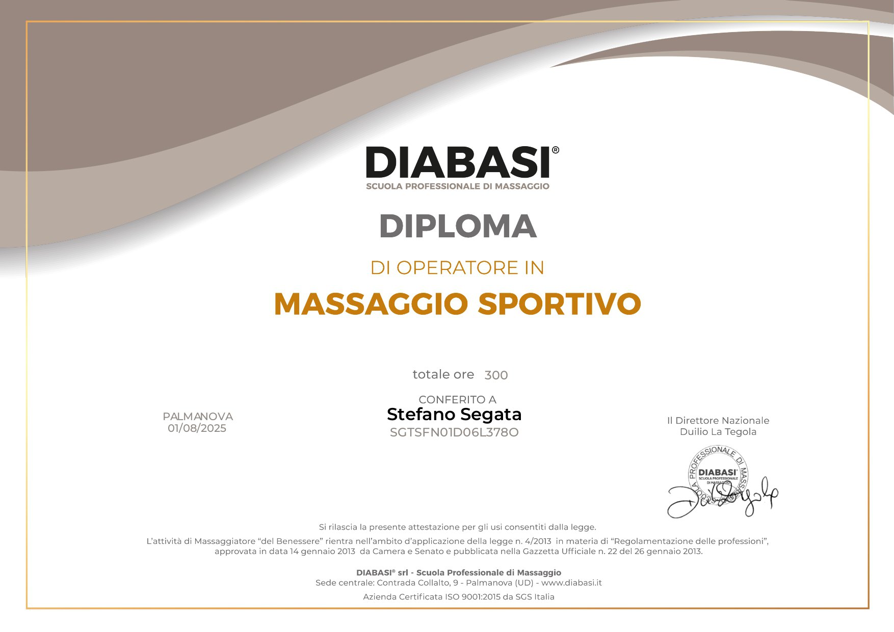 Attestato Stefano Segata 2